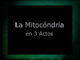 La mitocóndria en 3 actos