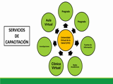 Tema 3. Fuentes, sistemas y servicios de información. Servicios de Capacitación